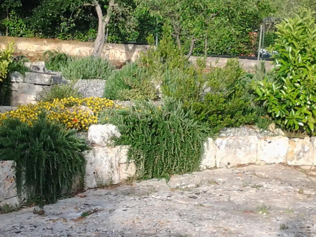 B&B Tenuta Ranieri Selva Di Fasano Kültér fotó